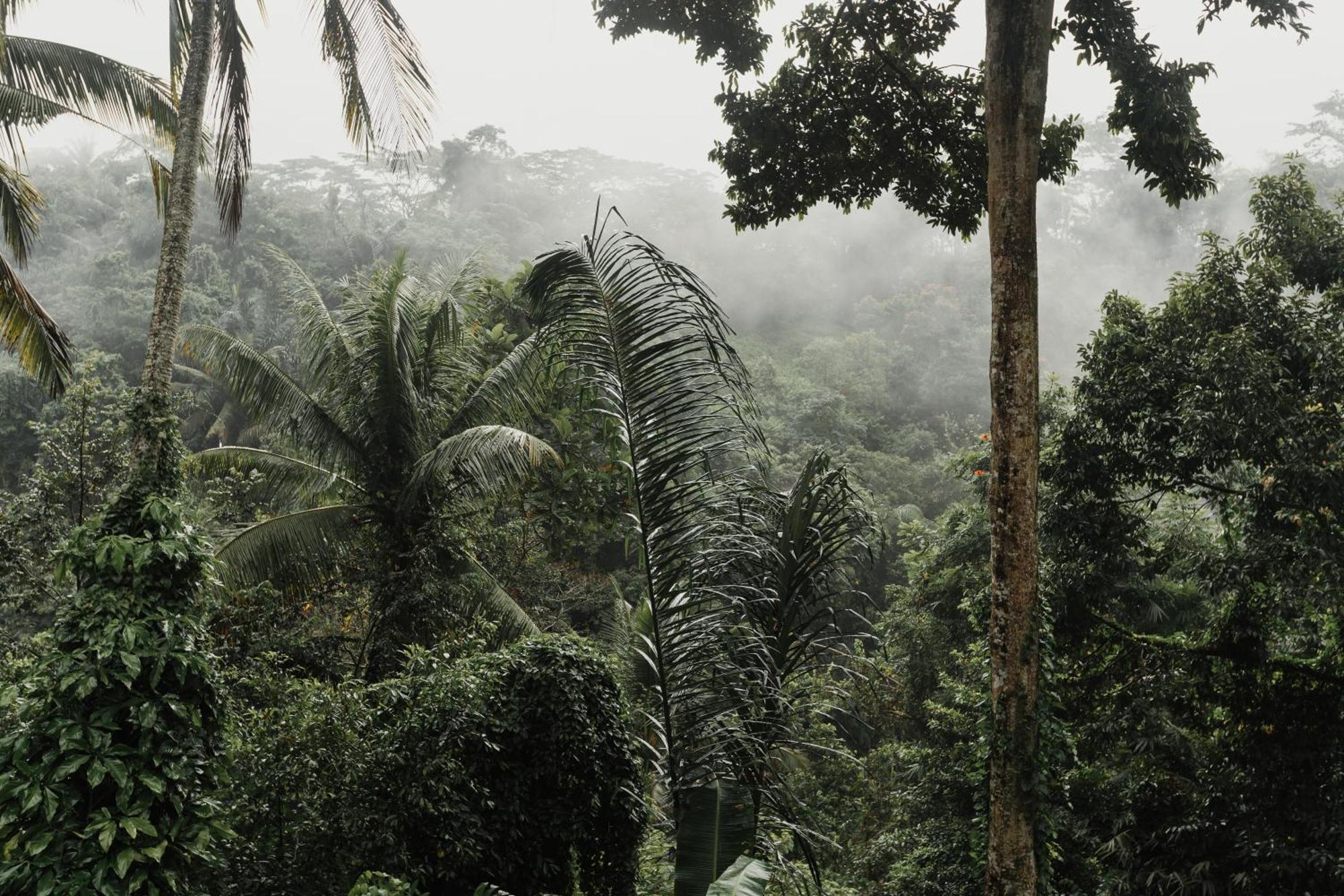 The Iyang Ubud Dış mekan fotoğraf